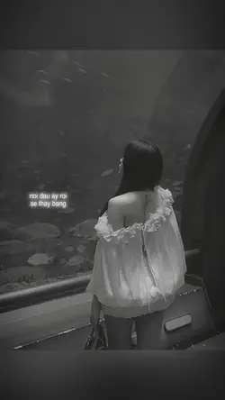 Lyrics + Màu