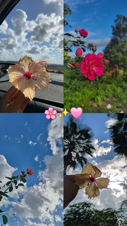 foto paisagem