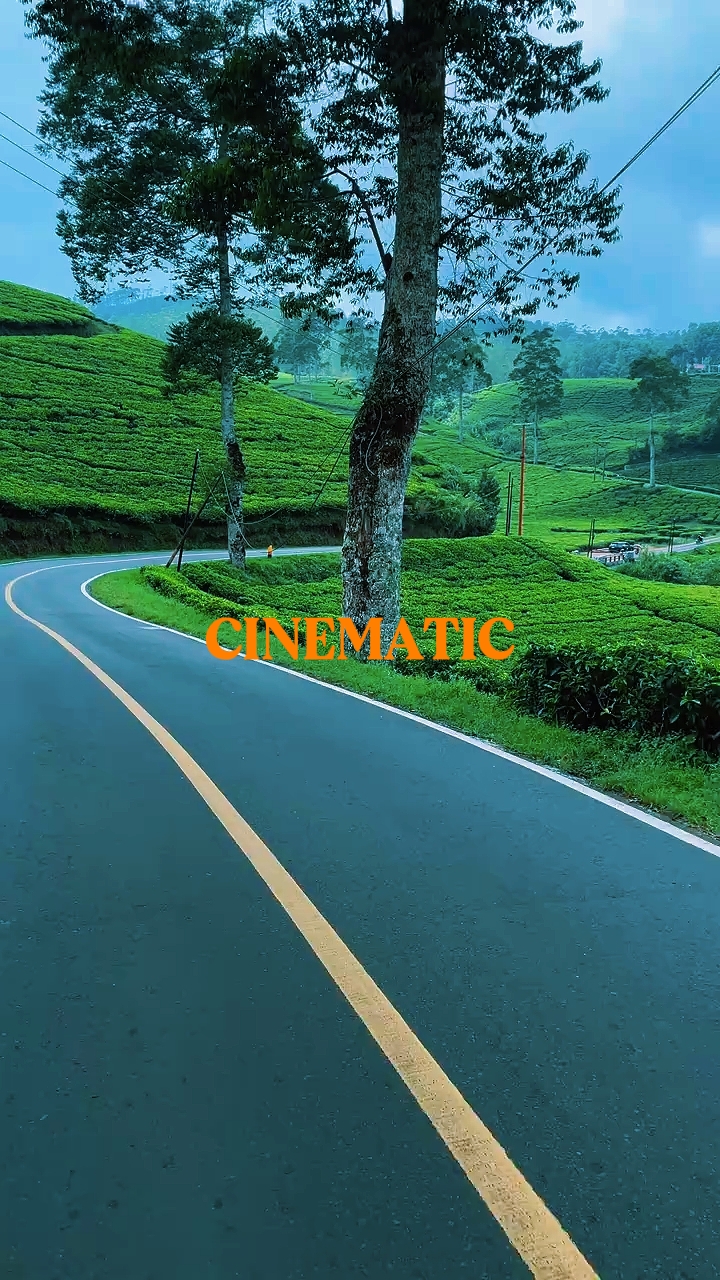 CINEMATIC
