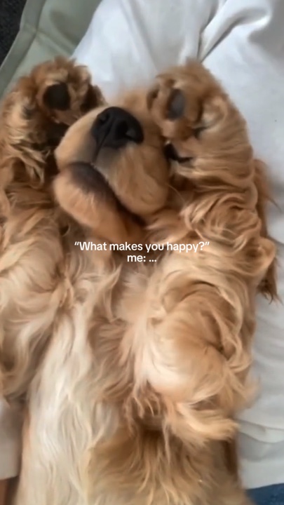 Makes you happy