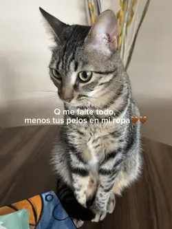 La amo🤎