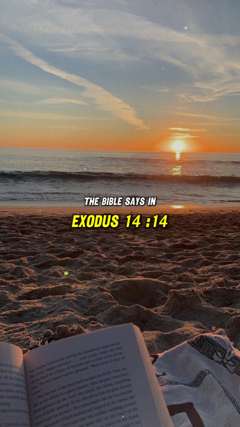 Exodo 14: 14