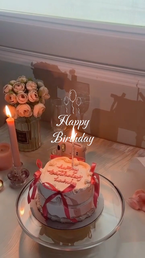 birthday vlog