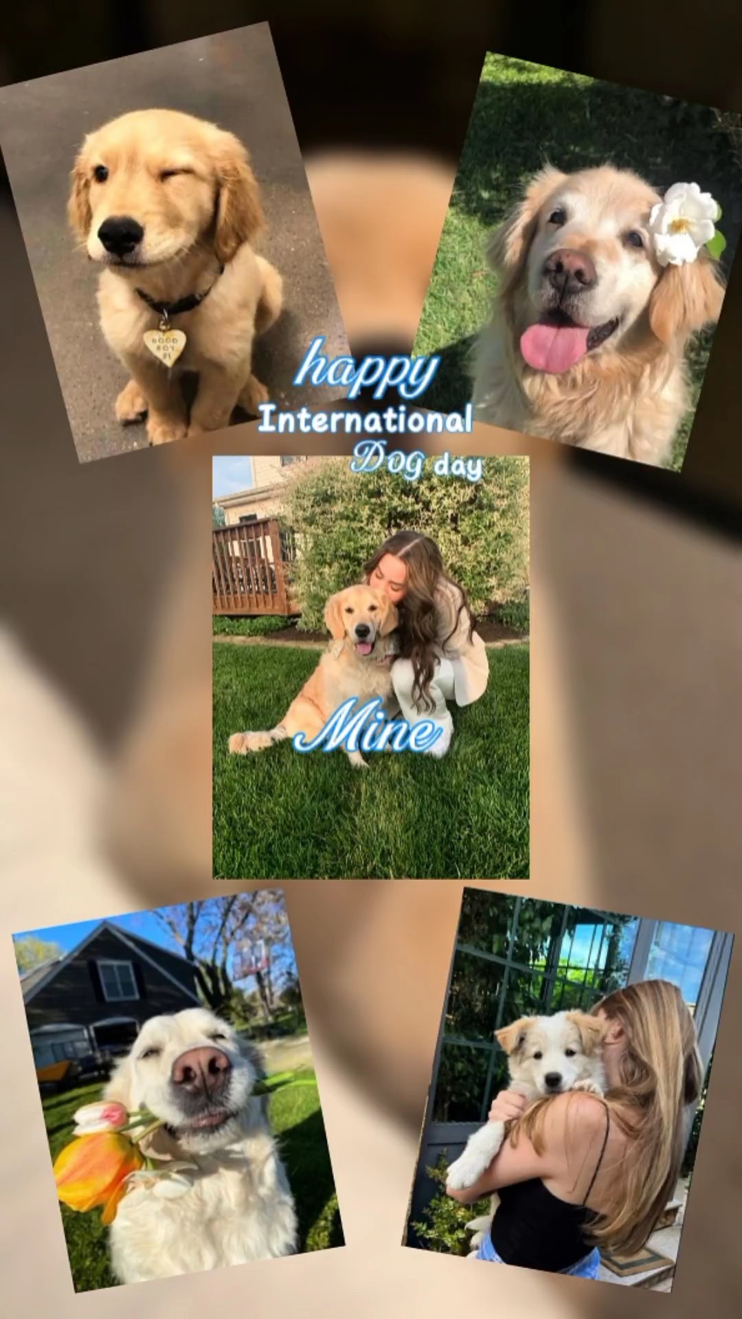 Día del perro