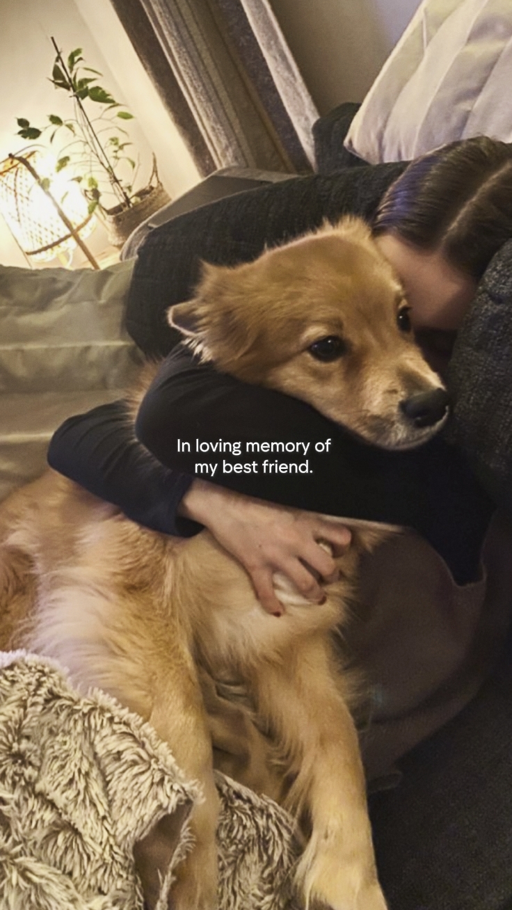 aimer la mémoire