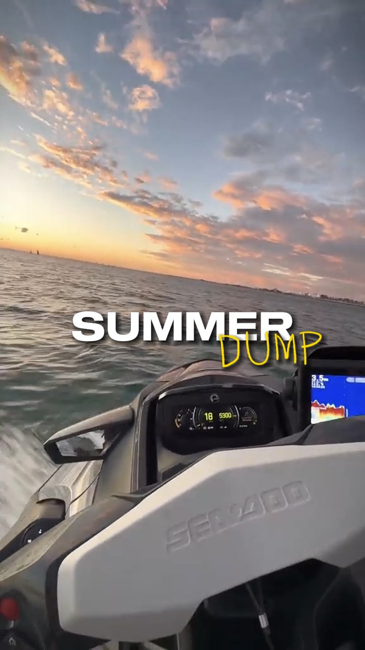 Dump d'été☀️