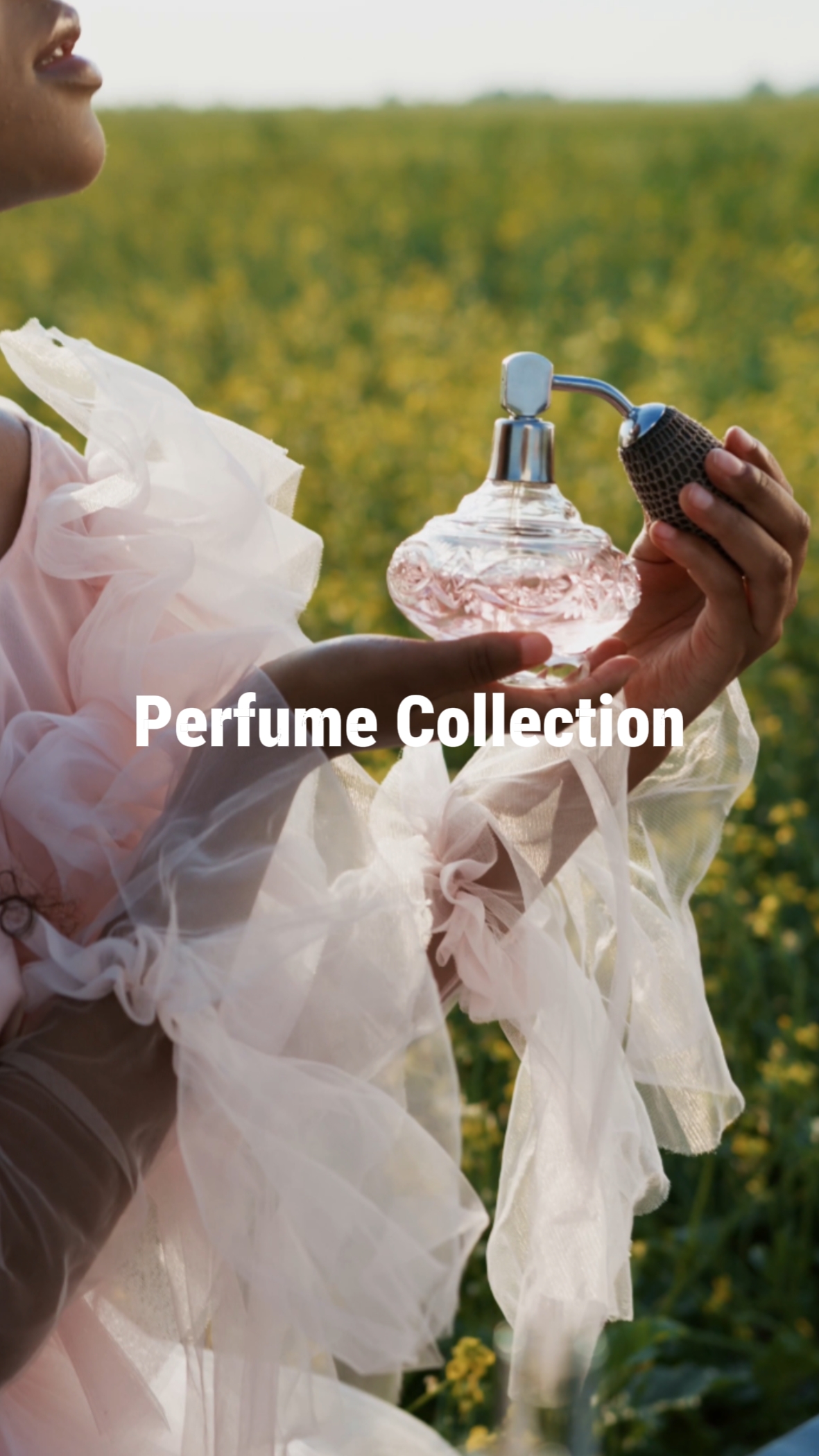 Collection de parfums