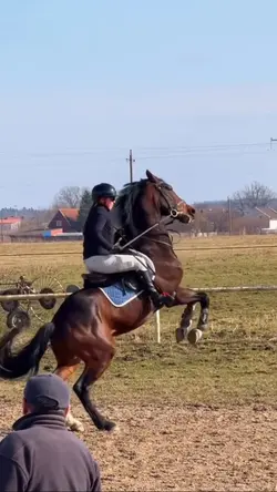 this is smoll slowmo