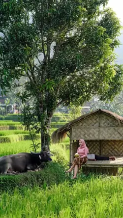 DI SAUNG SAWAH