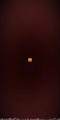 😻