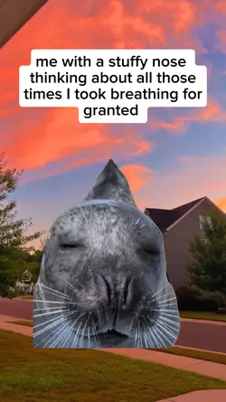 stuffy nose
