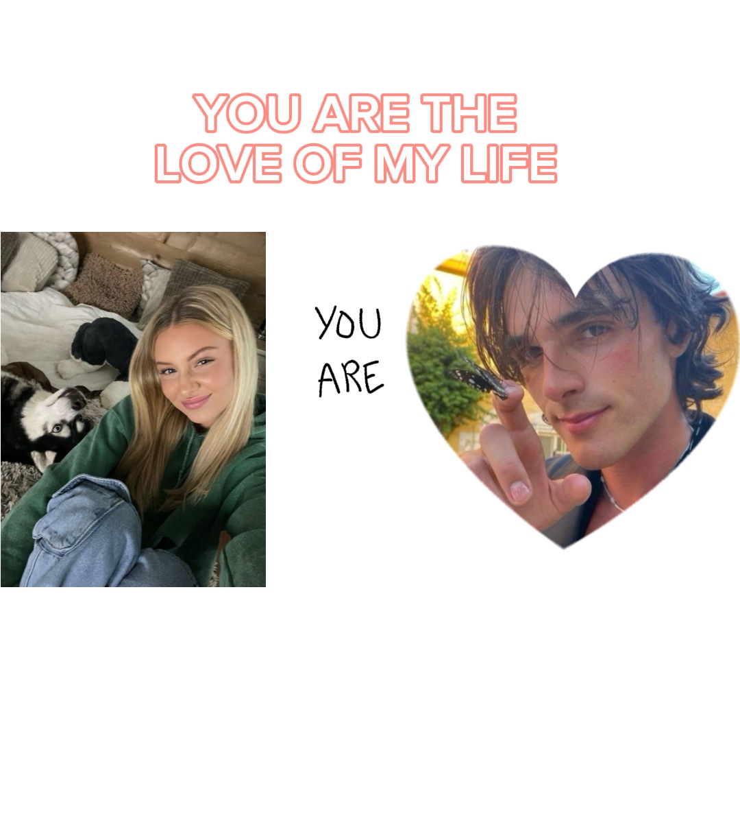 L'amour de ma vie 