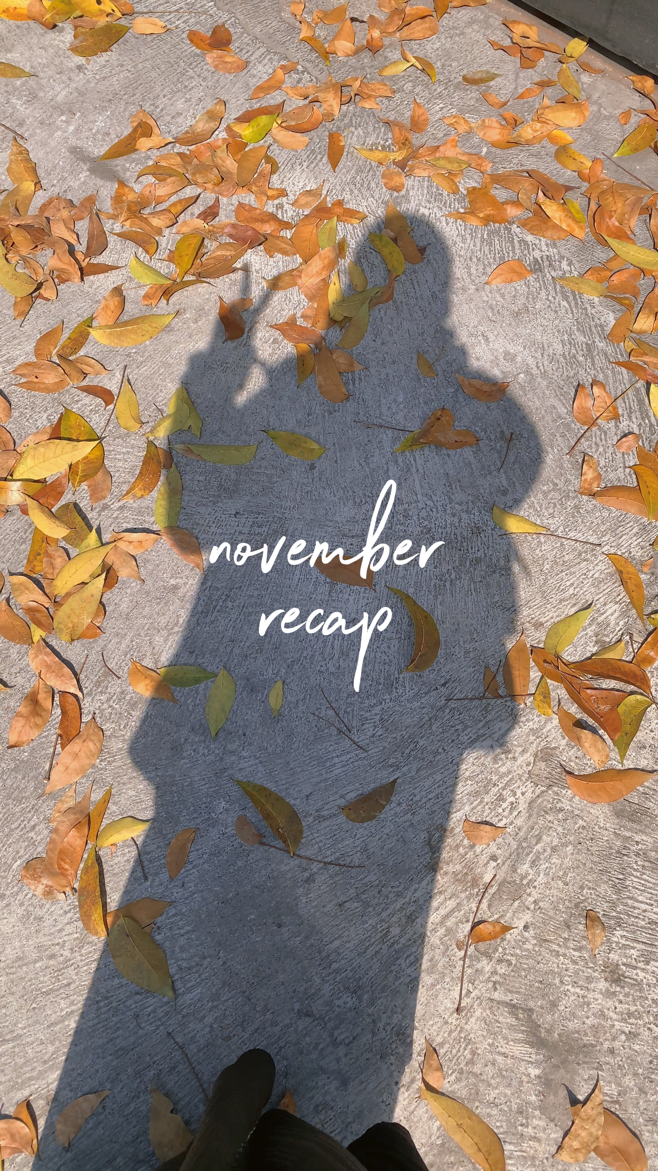 Resumo de novembro 50pic