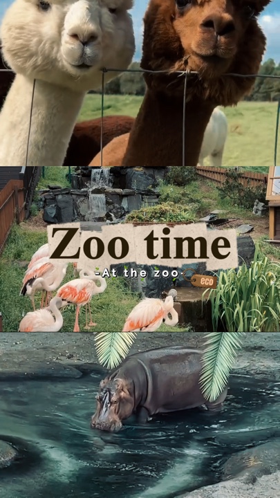 Tiempo de zoológico