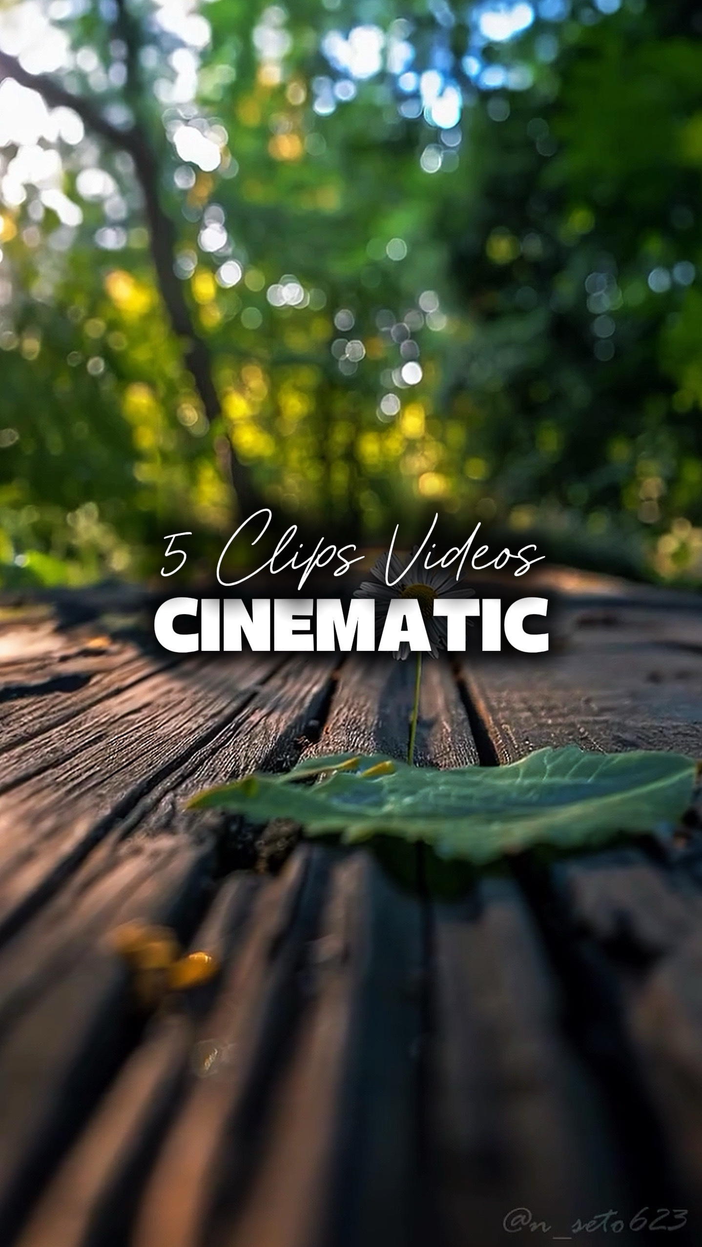 5 Videos Cinematic 