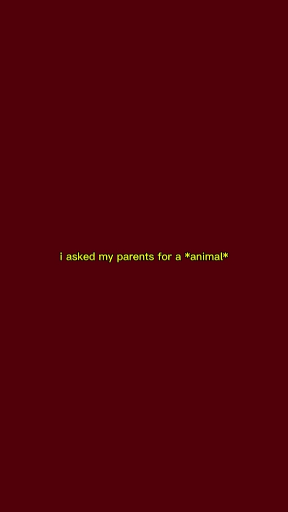 I ask an ANIMAL