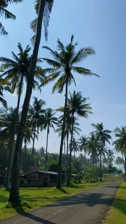 2video
