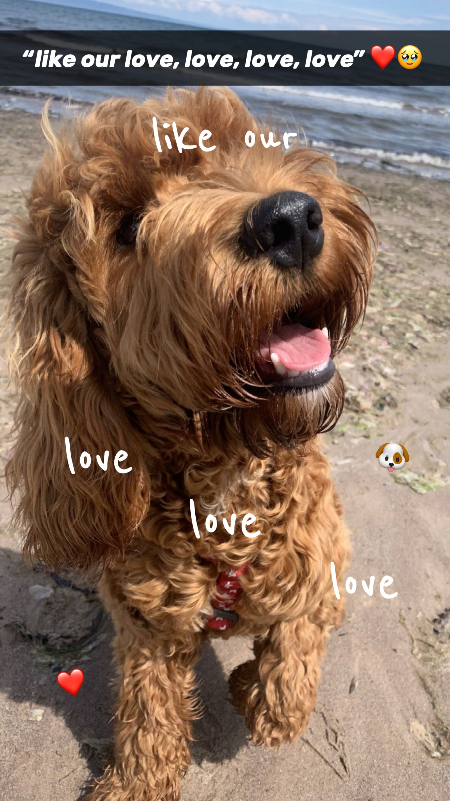 Unsere Liebe Liebe Liebe 