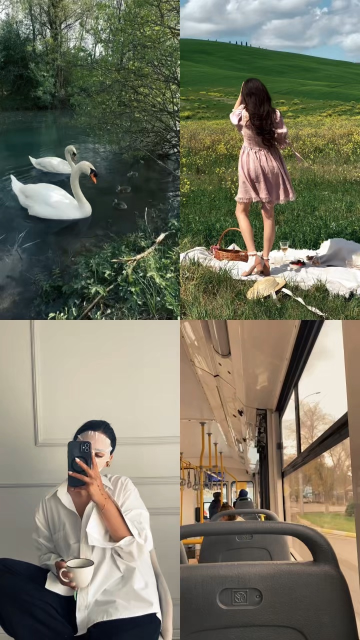 4 Raster Video 