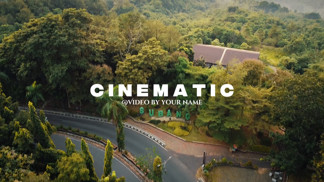 Cinematic Drone