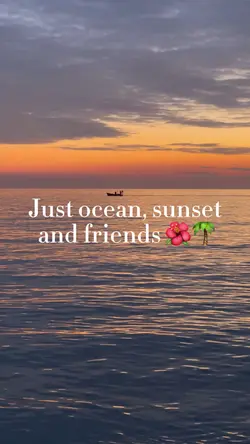 Life in Summer 🐠☀️🌴