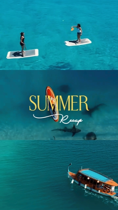 Summer Recap 