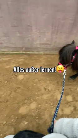 Lernen🚫