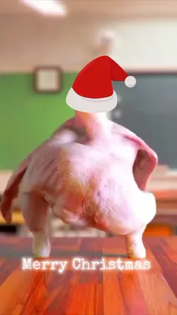 Funny Chicken Dance