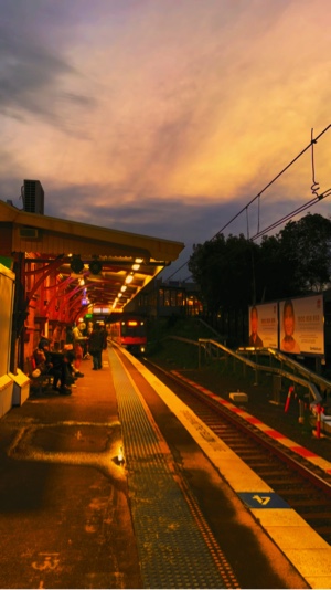 Tren nocturno