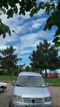 Göğsümden kalbimi
