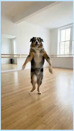 dancing dog