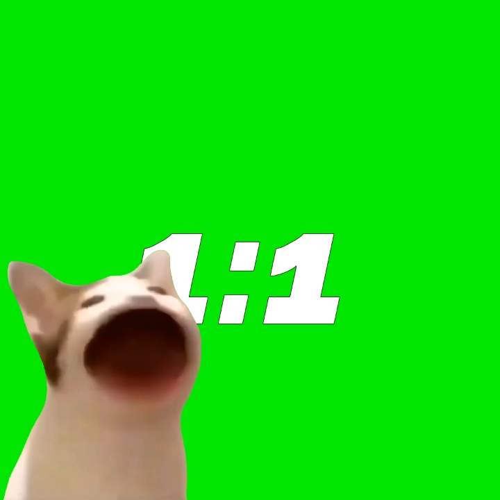 Templat meme pop cat