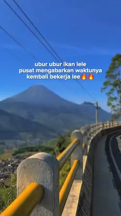 kembali bekerja lee