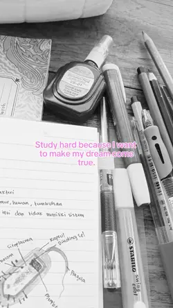 Dream will come true