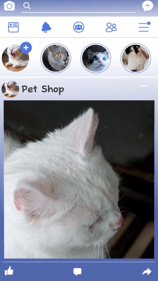 Pet Shop Ürün Ekranı TikTok Stili