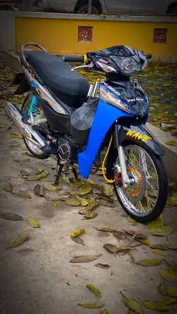 Mẫu 1 video xe 