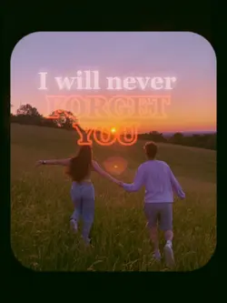 I will never