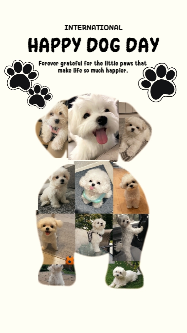 Happy Dog Day 2026