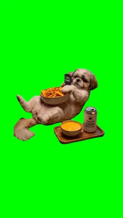 Dog Eating Chips