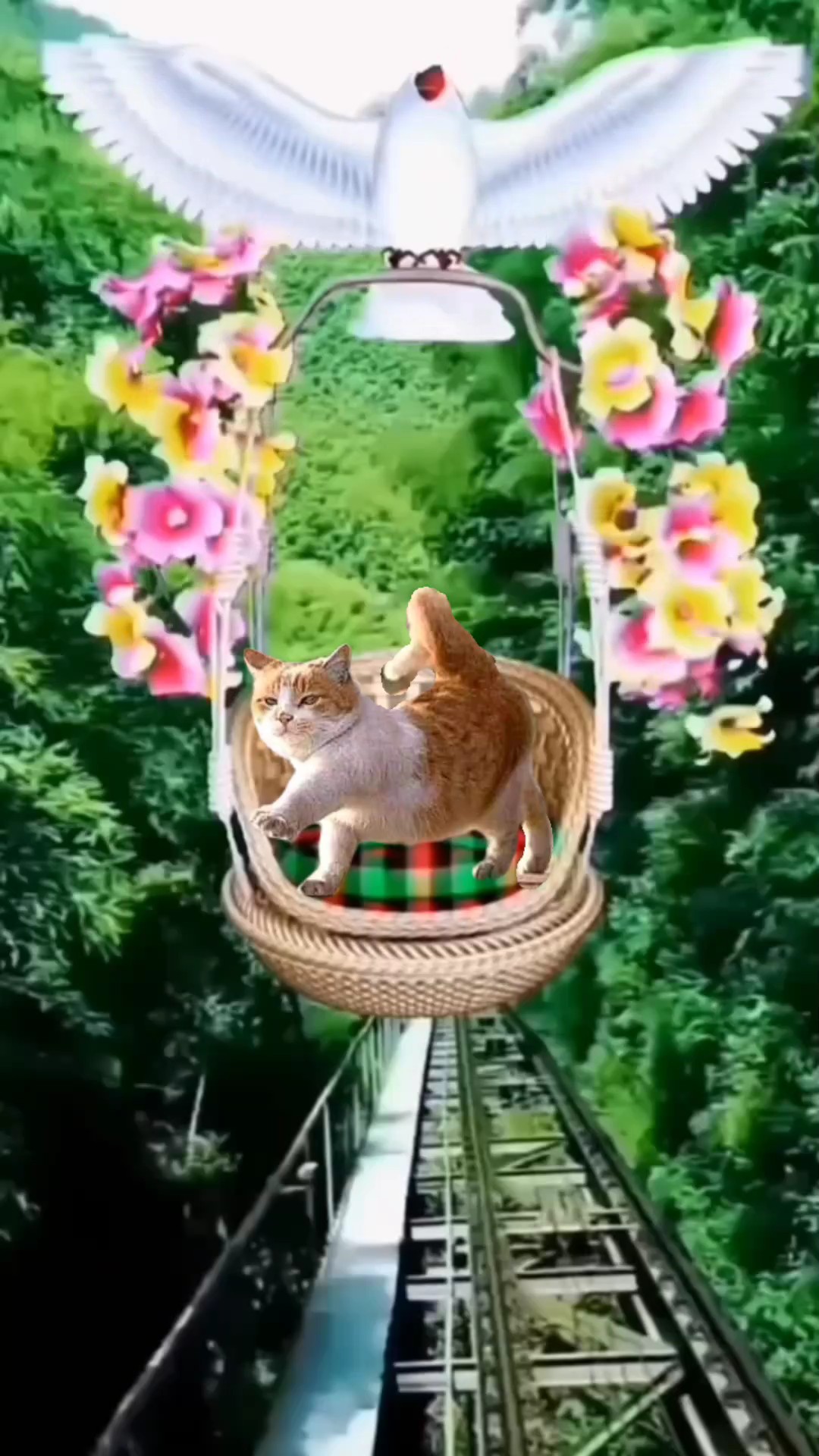 Terbang 
