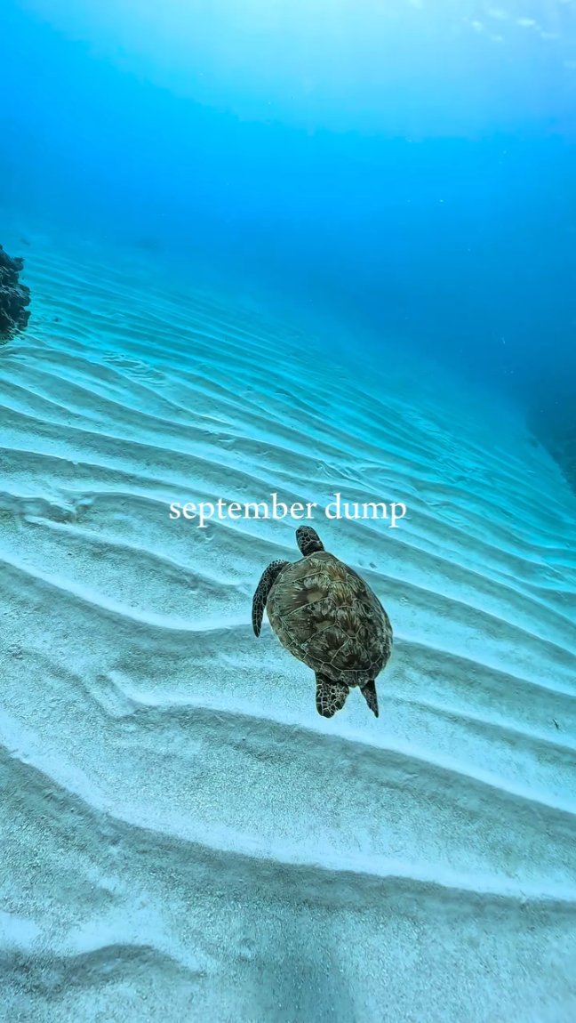 pembuangan September