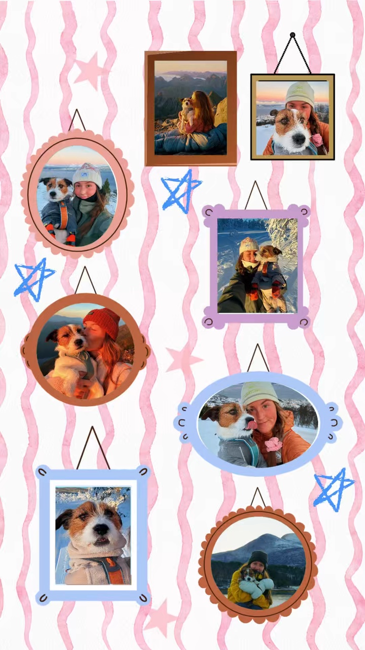 Dog moments