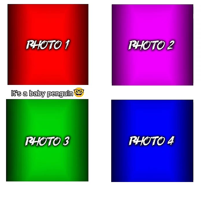 새로운 바이러스 TEMPLATE