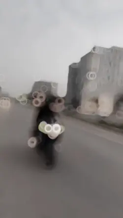 ترند فخم