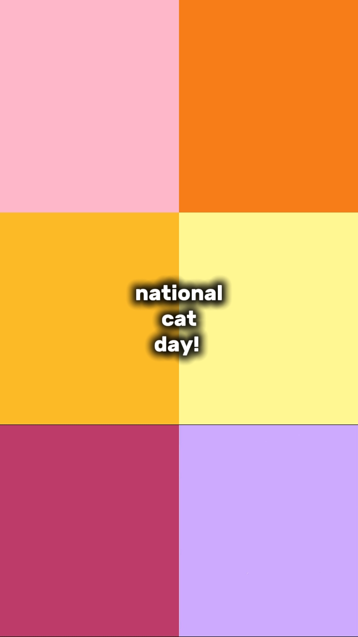 hari kucing nasional