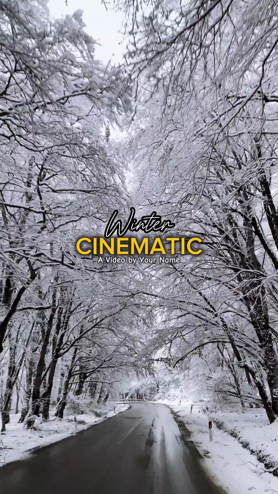 Winter Cinematic
