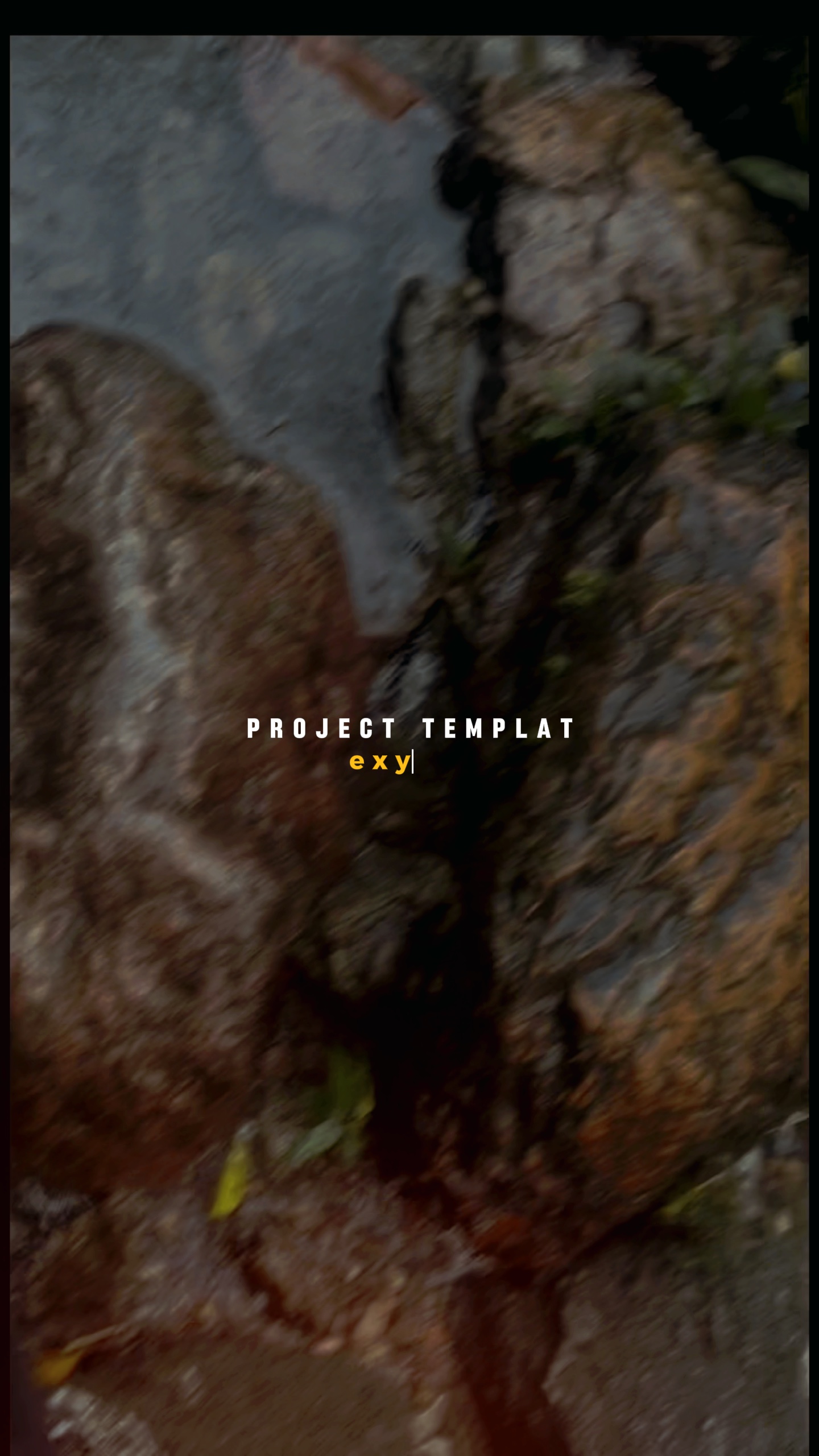 Project 