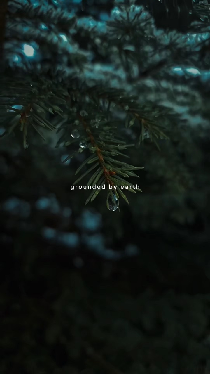 Fundamentado pela terra 