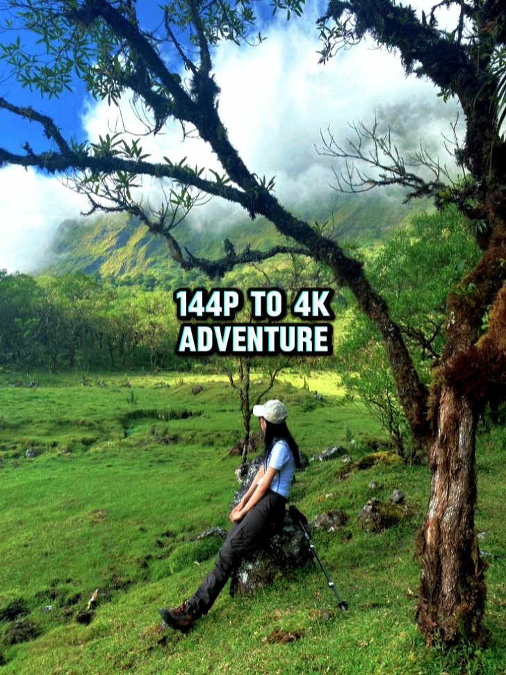 Aventura de 144p a 4k