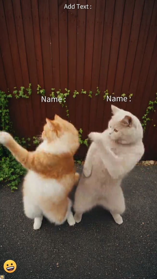 Tren kucing joget 